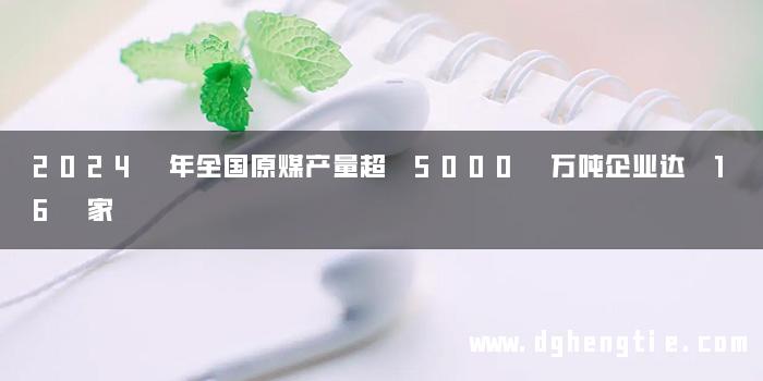 2024 年全国原煤产量超 5000 万吨企业达 16 家